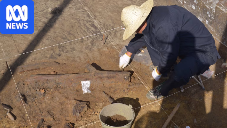 Person wearing hat digging things out of dirt floor in cave