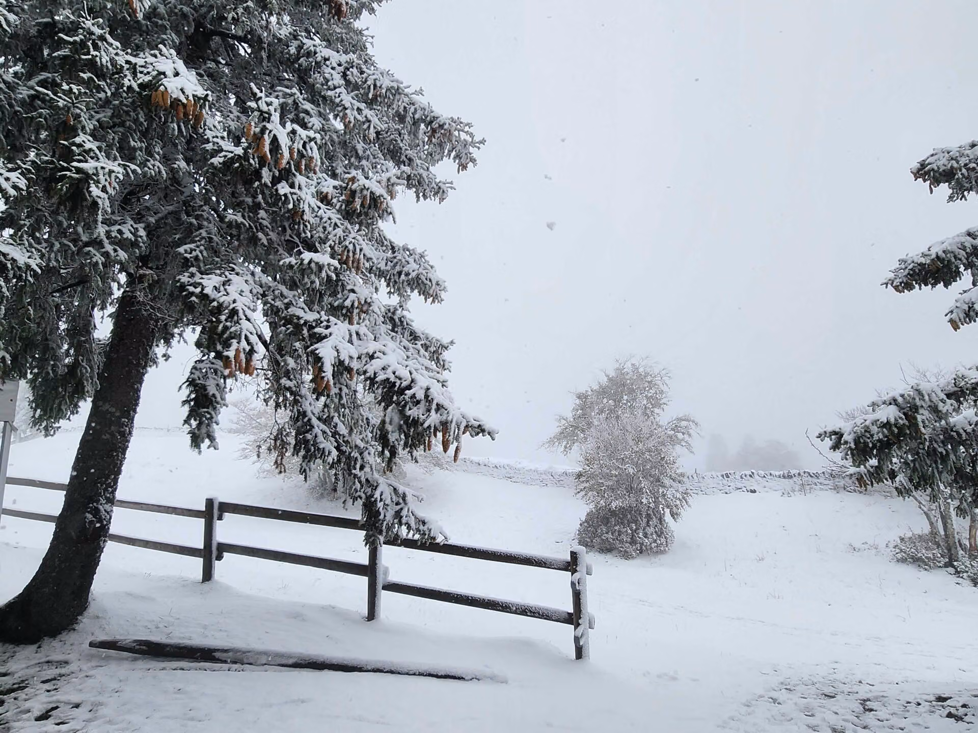 Le Jura vaudois recouvert de neige