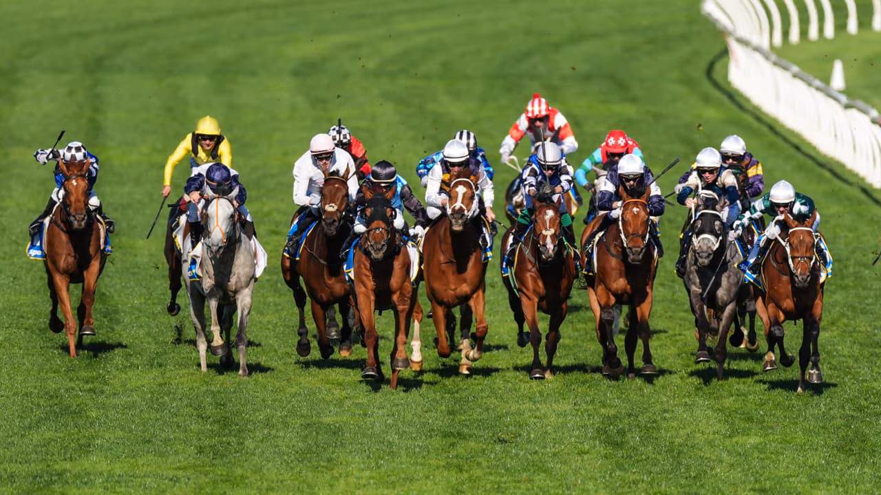 Les 18 cavaliers se rassembleront pour le Caulfield Cup